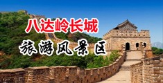 wwwwww艹逼网站www中国北京-八达岭长城旅游风景区